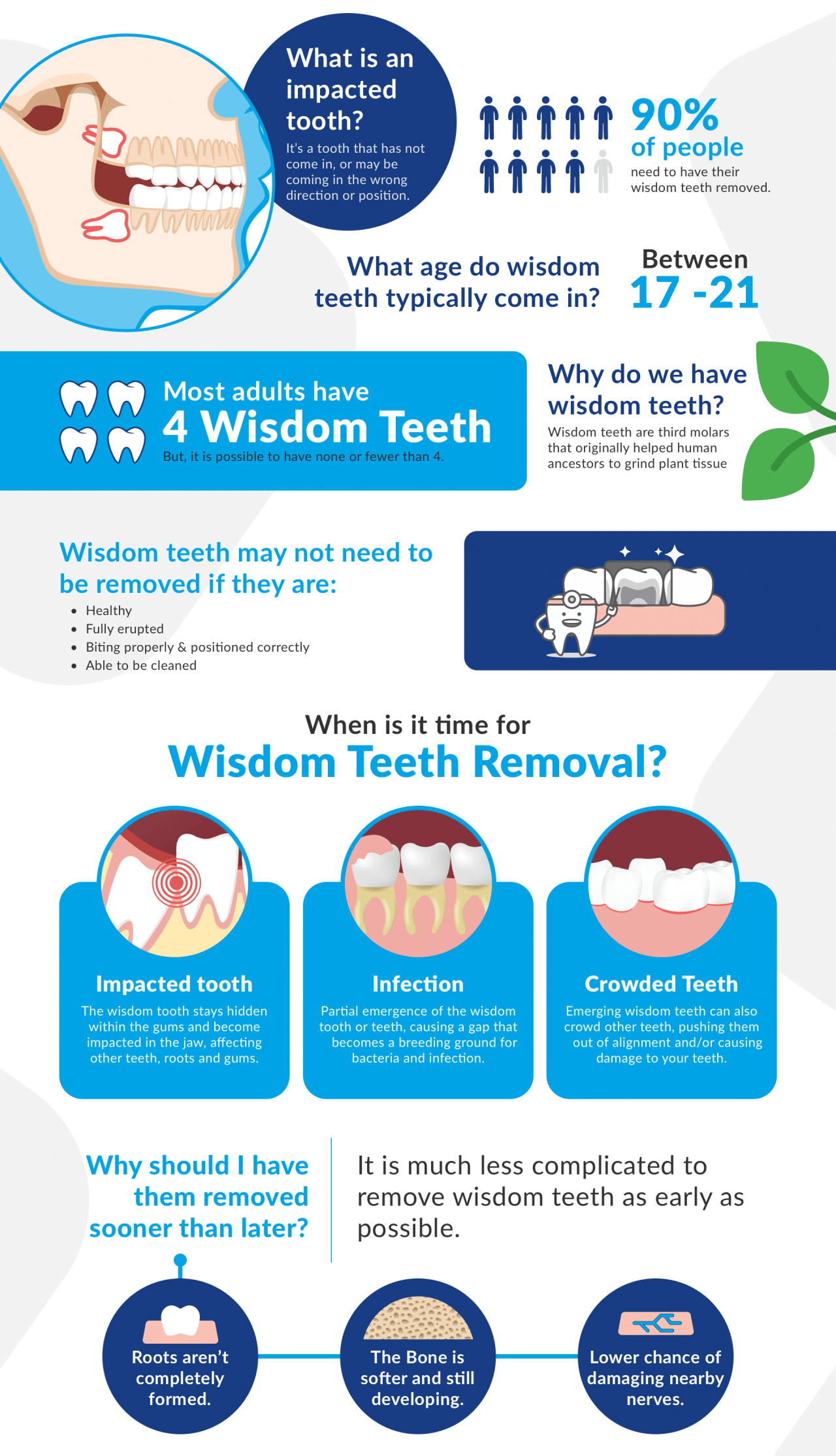 Best Dental Insurance For Wisdom Teeth